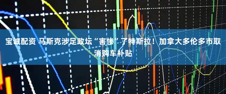 宝诚配资 马斯克涉足政坛“害惨”了特斯拉！加拿大多伦多市取消购车补贴