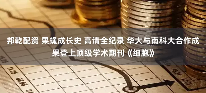 邦乾配资 果蝇成长史 高清全纪录 华大与南科大合作成果登上顶级学术期刊《细胞》