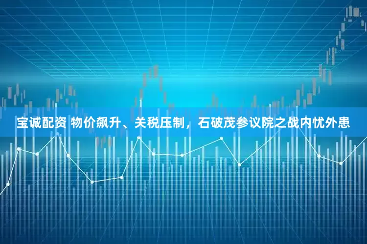 宝诚配资 物价飙升、关税压制，石破茂参议院之战内忧外患