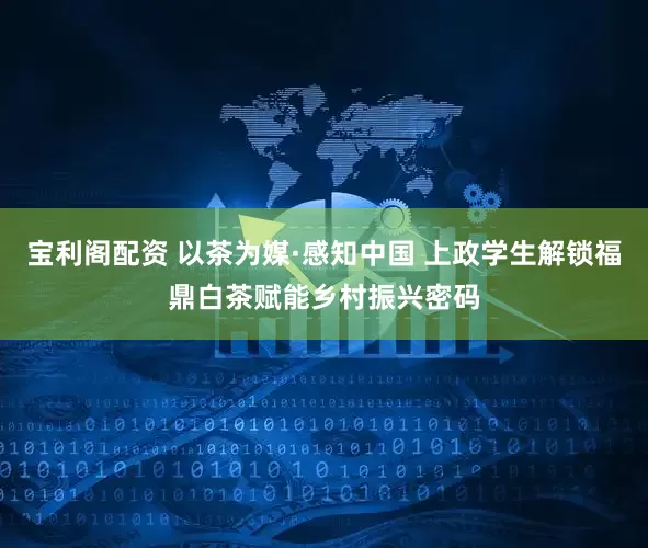 宝利阁配资 以茶为媒·感知中国 上政学生解锁福鼎白茶赋能乡村振兴密码