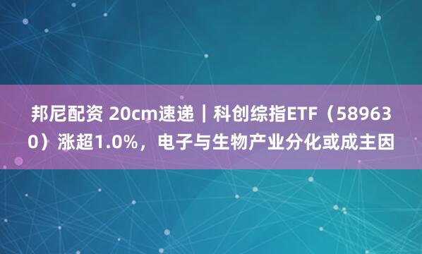 邦尼配资 20cm速递｜科创综指ETF（589630）涨超1.0%，电子与生物产业分化或成主因